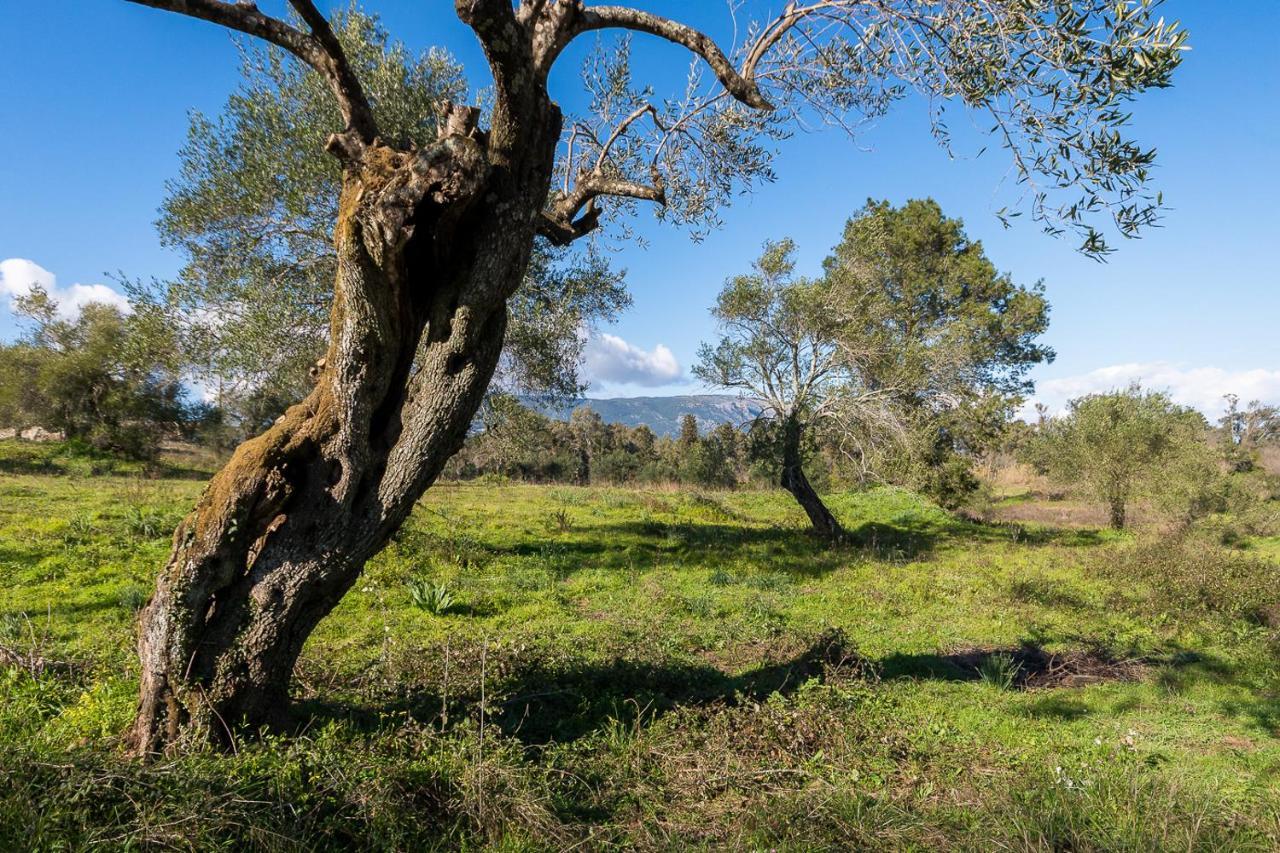 Merlyn Rooms Into The Nature, 100M From The Beach Dafnila エクステリア 写真