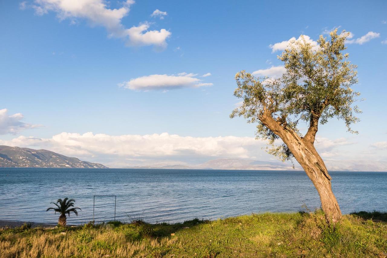 Merlyn Rooms Into The Nature, 100M From The Beach Dafnila エクステリア 写真